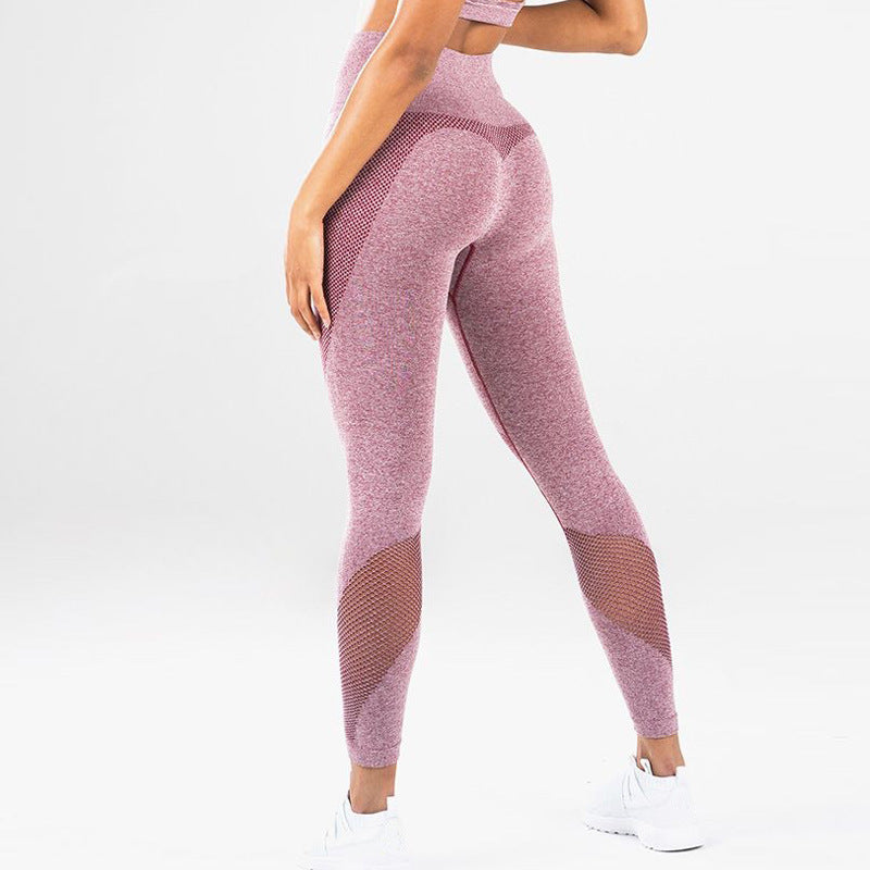 Round mesh Fitness Leggings